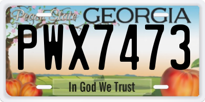 GA license plate PWX7473