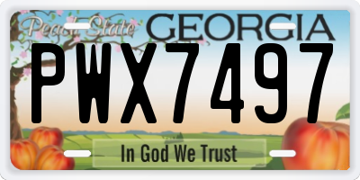 GA license plate PWX7497