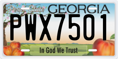 GA license plate PWX7501