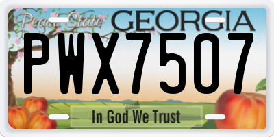 GA license plate PWX7507