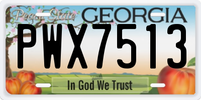 GA license plate PWX7513