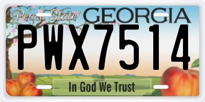 GA license plate PWX7514