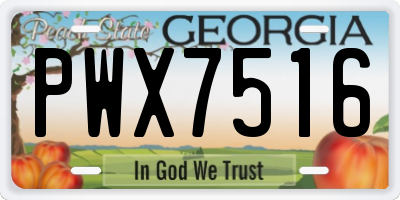 GA license plate PWX7516