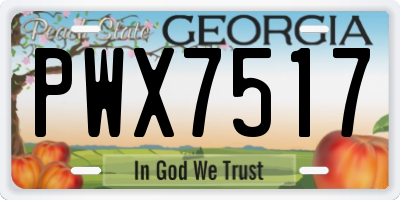 GA license plate PWX7517