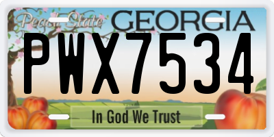 GA license plate PWX7534