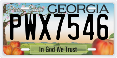 GA license plate PWX7546