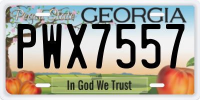 GA license plate PWX7557