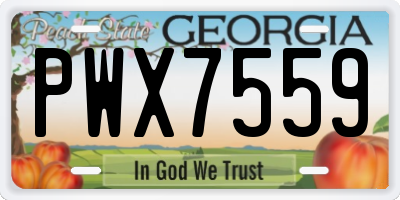 GA license plate PWX7559