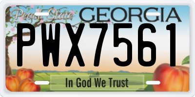 GA license plate PWX7561