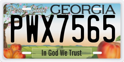 GA license plate PWX7565