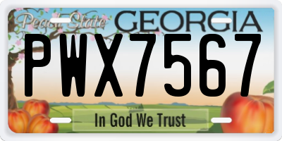 GA license plate PWX7567