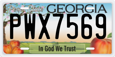 GA license plate PWX7569