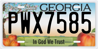 GA license plate PWX7585