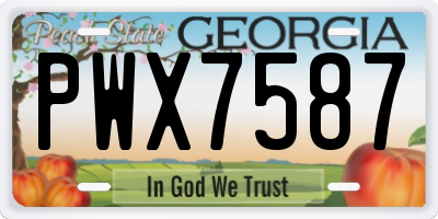 GA license plate PWX7587