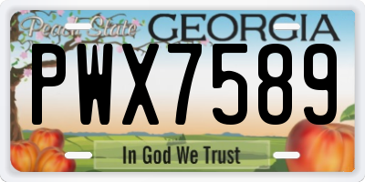 GA license plate PWX7589