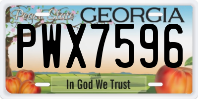 GA license plate PWX7596