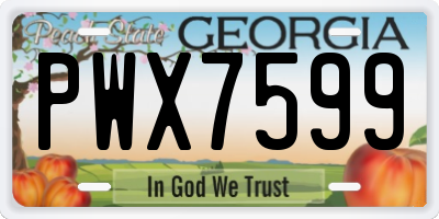 GA license plate PWX7599
