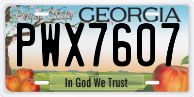 GA license plate PWX7607