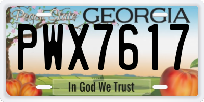 GA license plate PWX7617