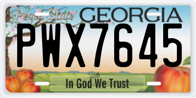 GA license plate PWX7645
