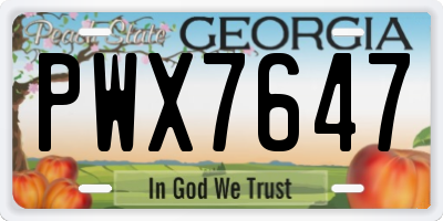 GA license plate PWX7647