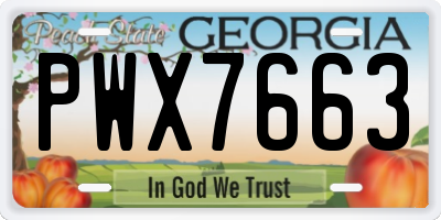 GA license plate PWX7663
