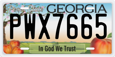 GA license plate PWX7665