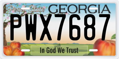 GA license plate PWX7687