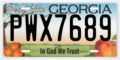 GA license plate PWX7689