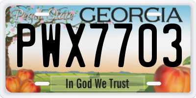 GA license plate PWX7703