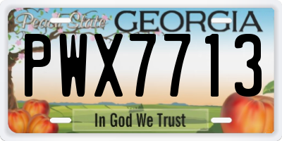 GA license plate PWX7713