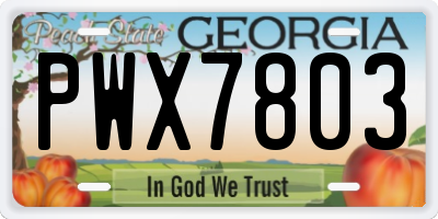GA license plate PWX7803