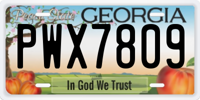 GA license plate PWX7809