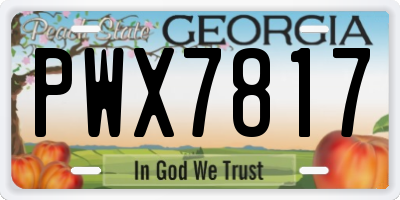 GA license plate PWX7817