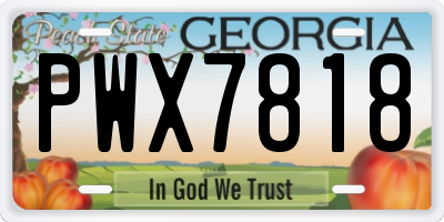 GA license plate PWX7818