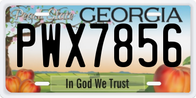 GA license plate PWX7856