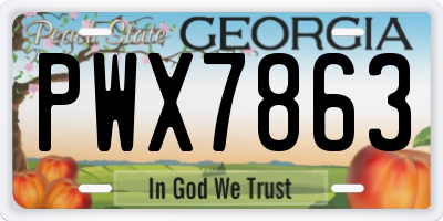 GA license plate PWX7863
