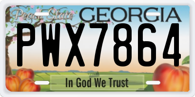 GA license plate PWX7864