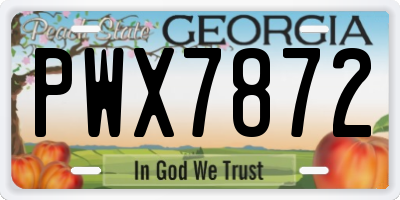 GA license plate PWX7872