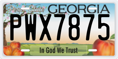 GA license plate PWX7875