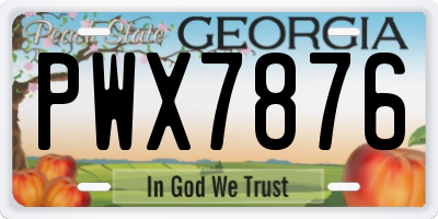 GA license plate PWX7876
