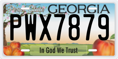 GA license plate PWX7879
