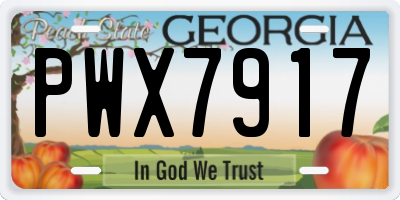 GA license plate PWX7917