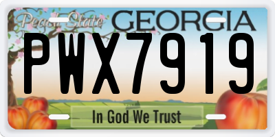 GA license plate PWX7919