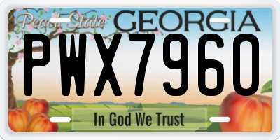 GA license plate PWX7960