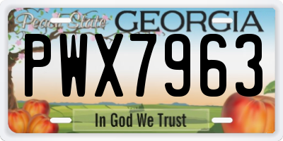 GA license plate PWX7963
