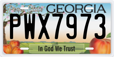 GA license plate PWX7973