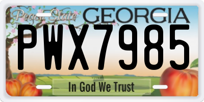 GA license plate PWX7985