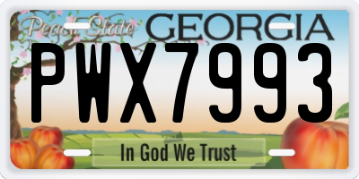 GA license plate PWX7993