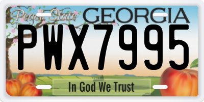 GA license plate PWX7995